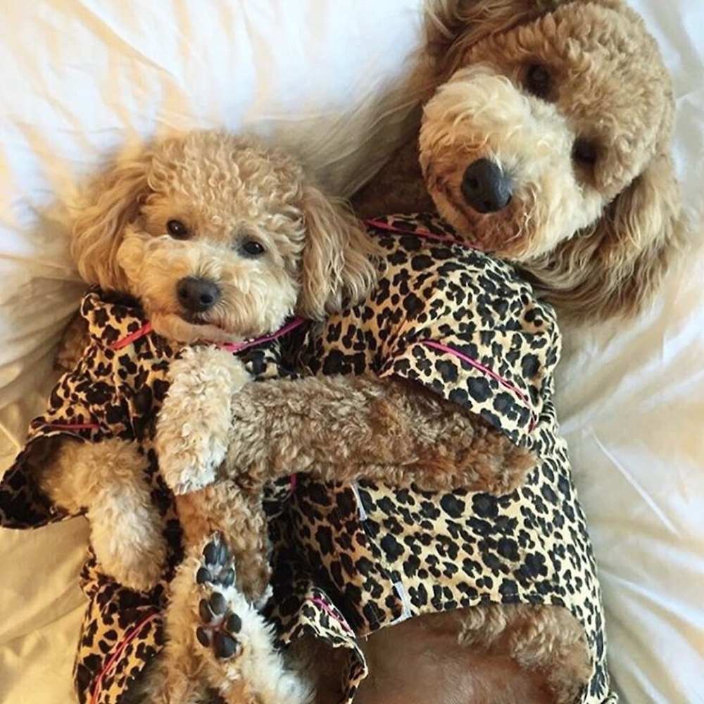 Fabdog Leopard Flannel Dog Pajamas - Size 20"